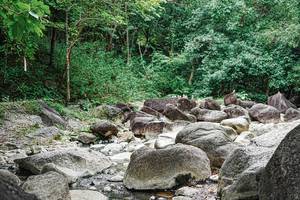 BIB: 
                            <button type="button" onclick="openModal(25120145)" class="btn btn-primary btn-sm float-right btn-popup" data-toggle="modal" data-target=".modal-high-quality">
                        <i class="fas fa-shopping-cart"></i> Add to Cart
                    </button>
                                            <button type="button" onclick="isThisMe(25120145, true)" class="btn btn-success btn-sm float-right btn-popup btn-isme hidden" data-toggle="tooltip" data-placement="bottom" title="นี่คือรูปของคุณใช่ไหม คลิกที่นี่เพื่อเอาเข้าอัลบั้ม">
                        <i class="fas fa-plus"></i> Add to album
                    </button>
                    <button type="button" onclick="isThisMe(25120145, false)" class="btn btn-warning btn-sm float-right btn-popup btn-isnotme hidden">
                        <i class="fas fa-ban"></i> Remove from album
                    </button>